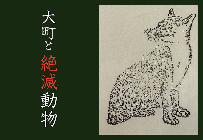 大町と絶滅動物