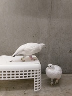 あけましておめでとうございます！初めての冬もみんな元気です！