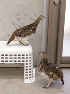 衣替え完了です！