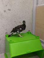 ばっちり！カメラ目線！！