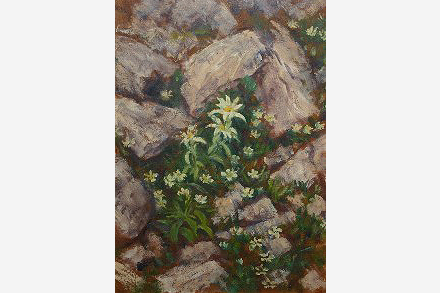 山岳風景画に関する資料調査